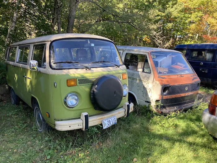 The Beetle Shop 7