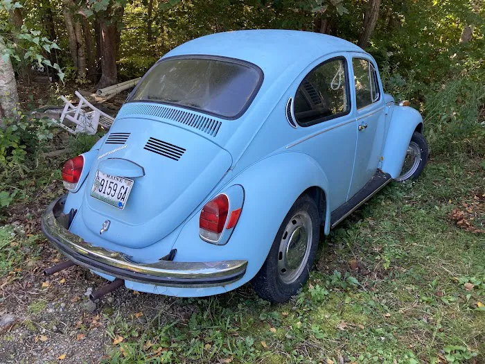 The Beetle Shop 3