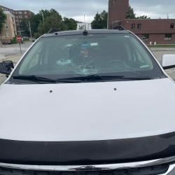 Steve’s AutoGlass Clinic ico
