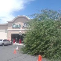 O'Reilly Auto Parts
