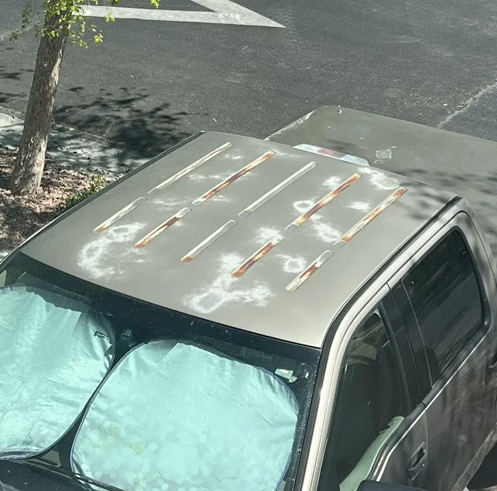 The Spray Gun Paint & Auto Body 0