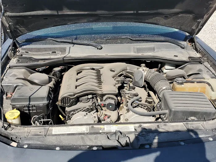 El Pulpo Parts LV 2