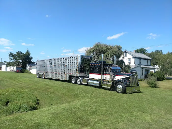 Spencer's Chrome Trucking Accessories 6