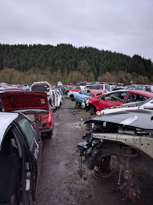 Pick-A-Part 6