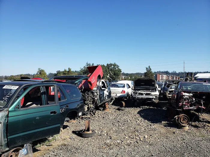 Pick-A-Part 8