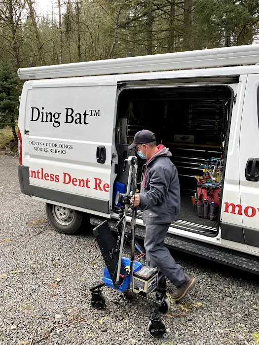 The Ding Bat Paintless Dent Removal 0