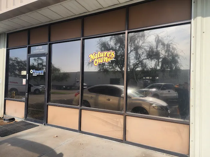 Dynamic Window Tint 5