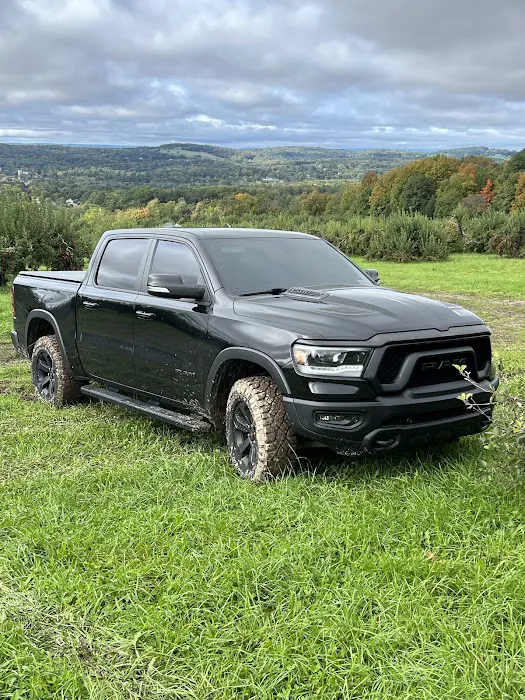 Gozmos Auto Customs 8