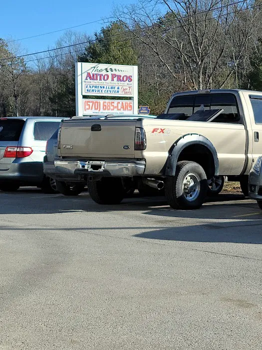 Auto Pros 2