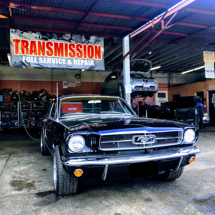 Calderon Transmission Inc. 9