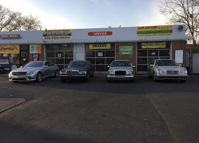 Algon Auto Care 9