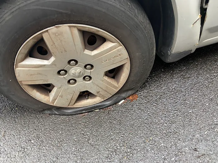 Willow Grove Automotive, Inc. 3