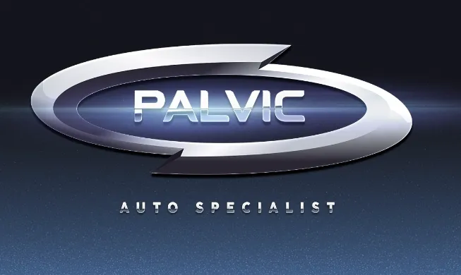 PALVIC AUTO SPECIALIST 1