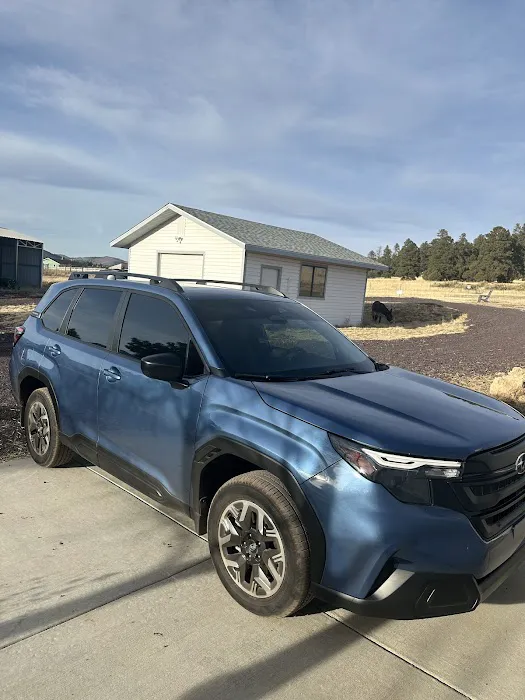 Archies Auto Glass and Tint 2