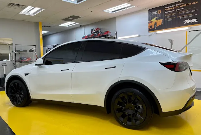 Accentrick Tint LV 3
