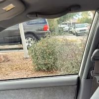 The Eastside Tint Shop