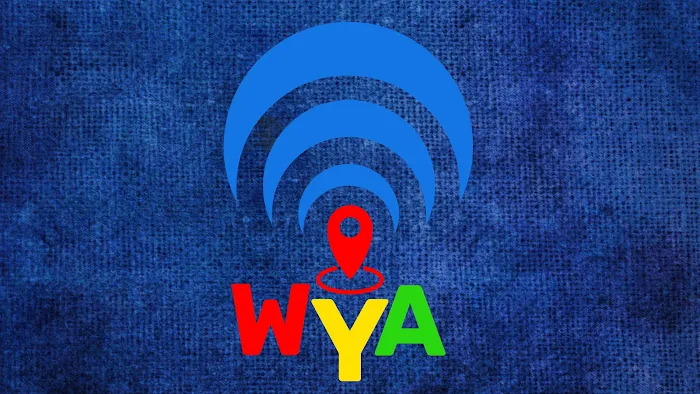 W. Y. A. LLC 9