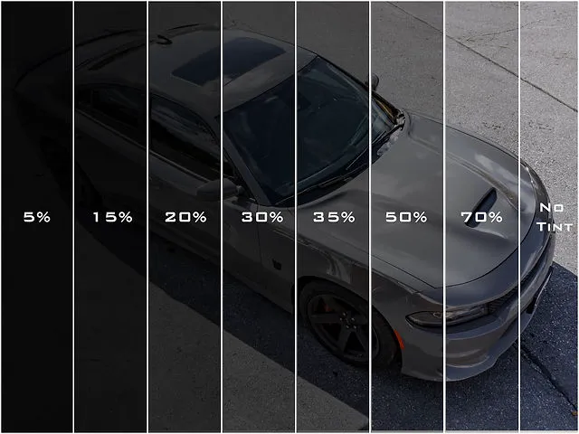 NEXT LEVEL WINDOW TINT 2