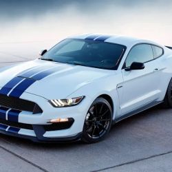 937PERFORMANCE llc ico