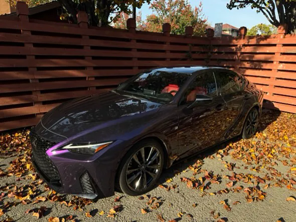 Exec Tints and Wraps 0