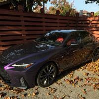 Exec Tints and Wraps