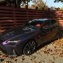 Exec Tints and Wraps ico