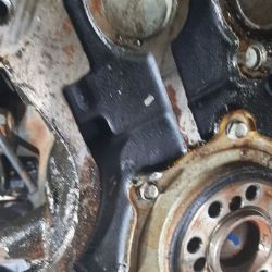 Savage Automotive and Tire ico
