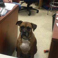 T&T Auto & Truck, LLC