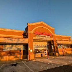AutoZone Auto Parts ico