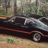 North Georgia Paint & Body