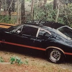 North Georgia Paint & Body ico