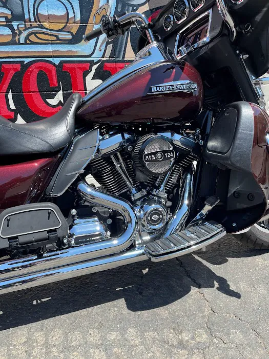 Sonora Custom Cycles 3