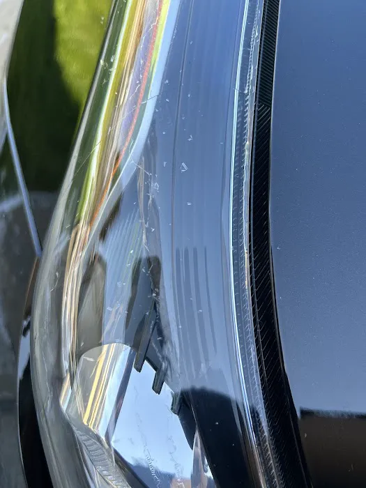 Absolute Quality Paint Shop 8