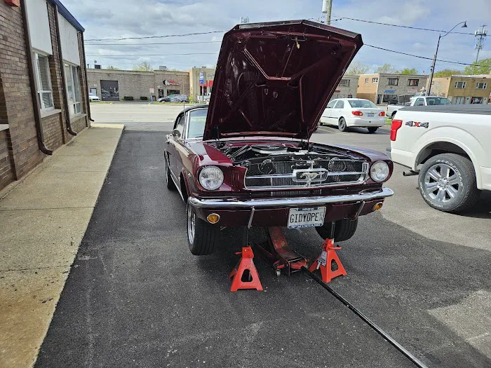 Mustang of Chicago 0