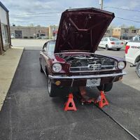 Mustang of Chicago