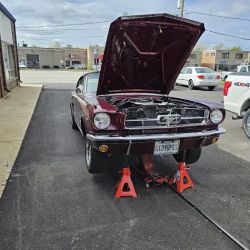 Mustang of Chicago ico