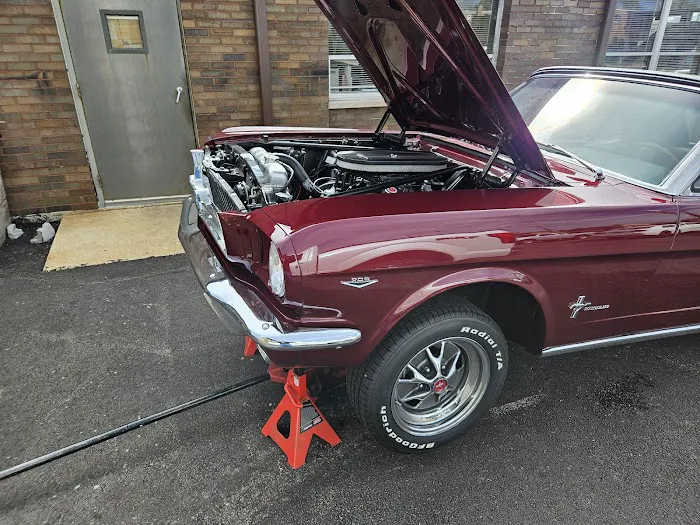 Mustang of Chicago 1
