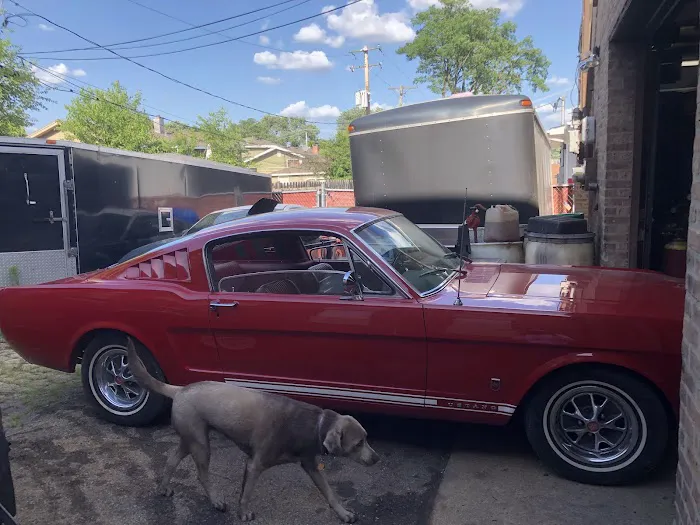 Mustang of Chicago 5