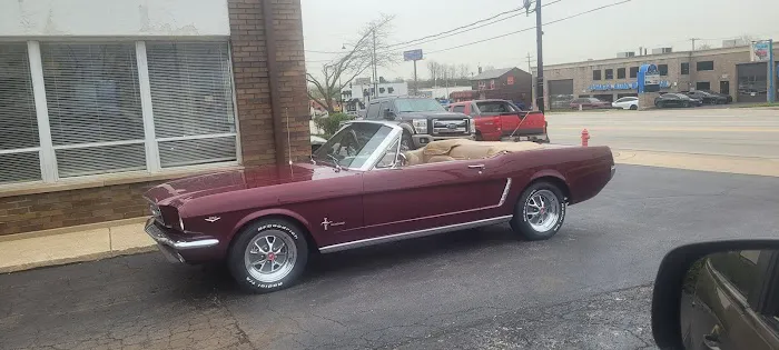 Mustang of Chicago 3