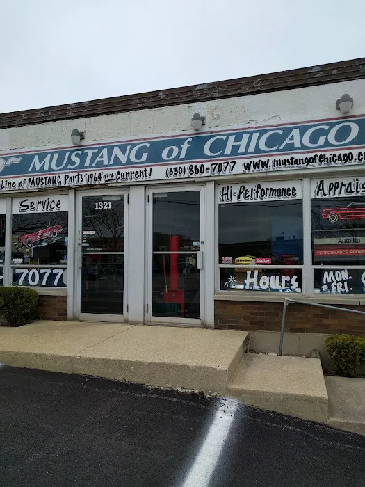Mustang of Chicago 8