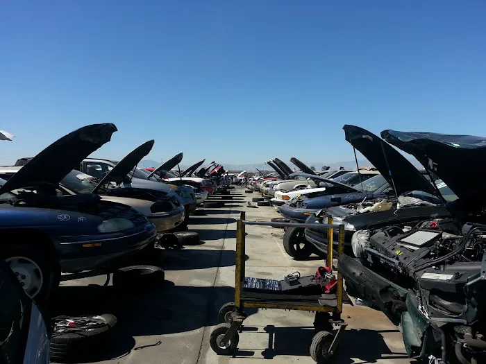 Nevada Pic A Part 8