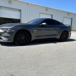 Sandusky Shades Window Tinting ico