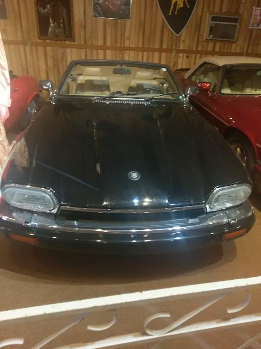Import Automotive Services 0