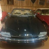 Import Automotive Services