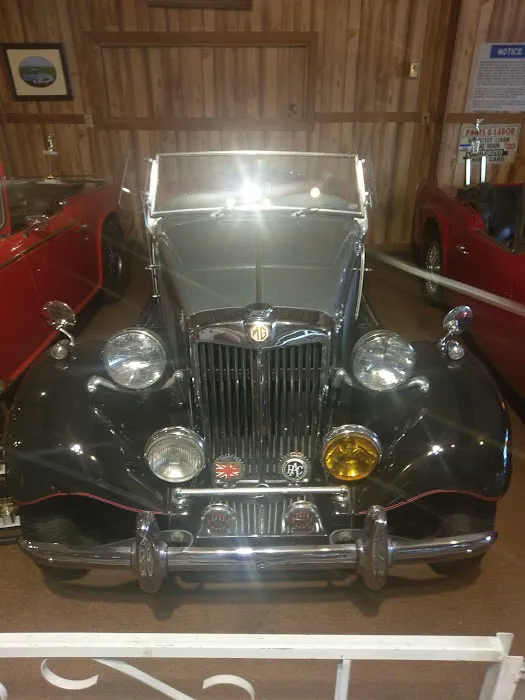 Import Automotive Services 8