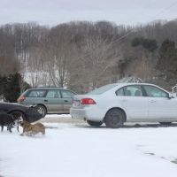 Mike's Townline Service