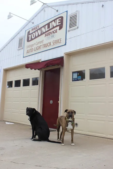 Mike's Townline Service 3