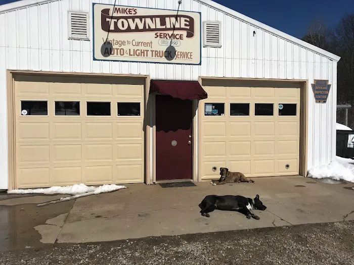 Mike's Townline Service 1