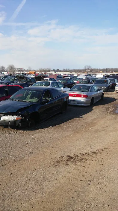 Paul's Auto Yard 2