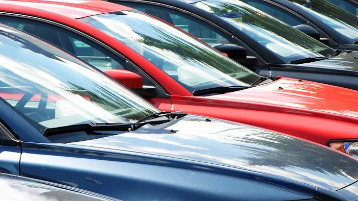Paul's Auto Yard 7